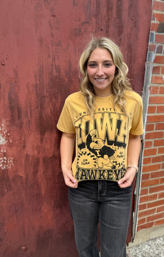 Iowa Hawkeyes